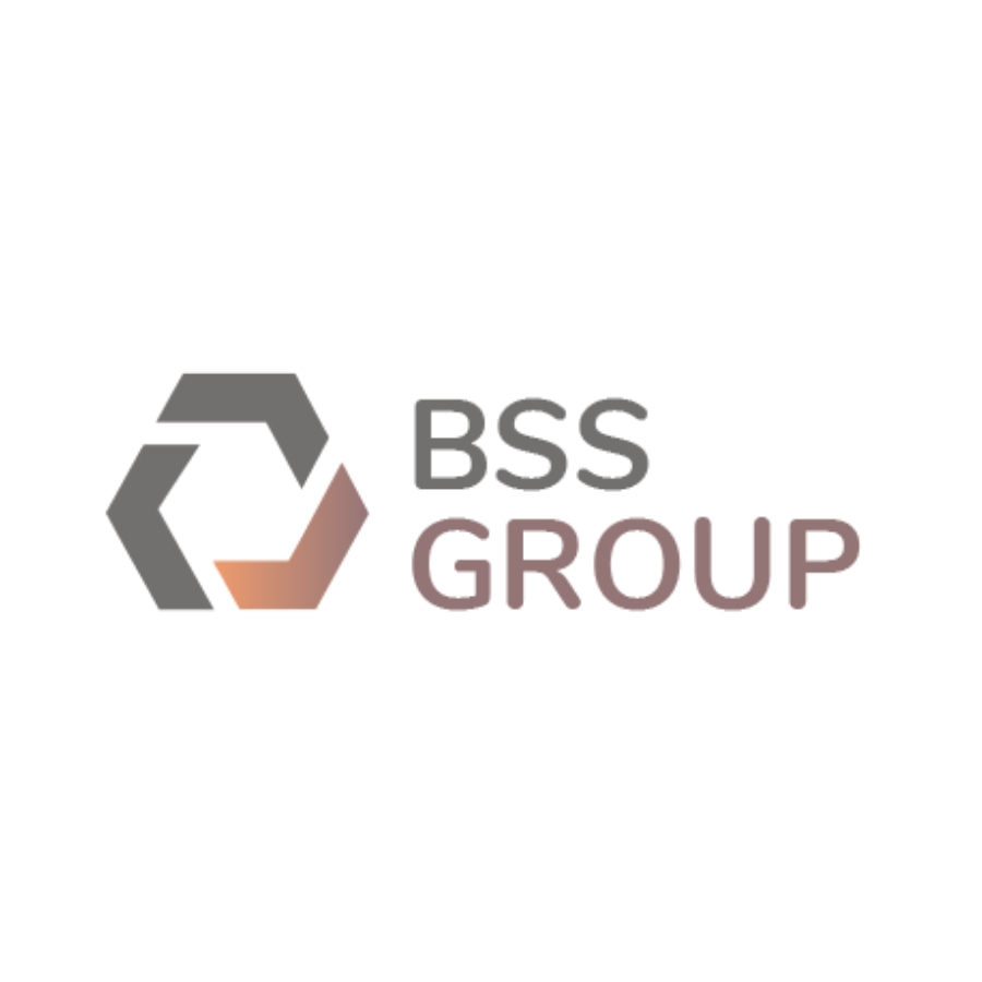 BSS GmbH Logo