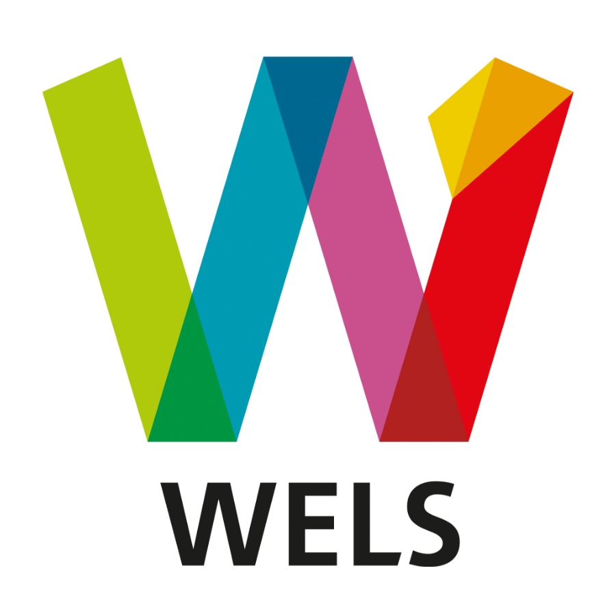 Magistrat der Stadt Wels Logo