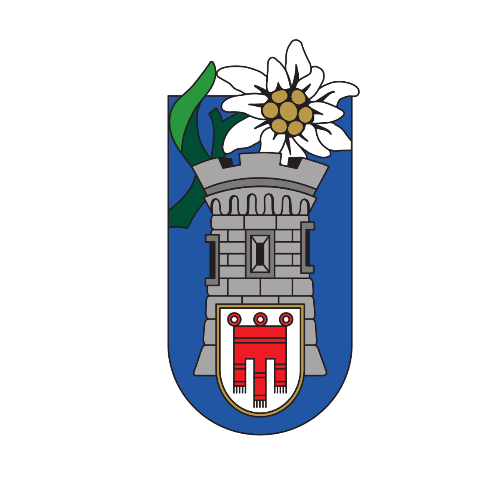 Wappen der PIONIERKOMPANIE VORARLBERG