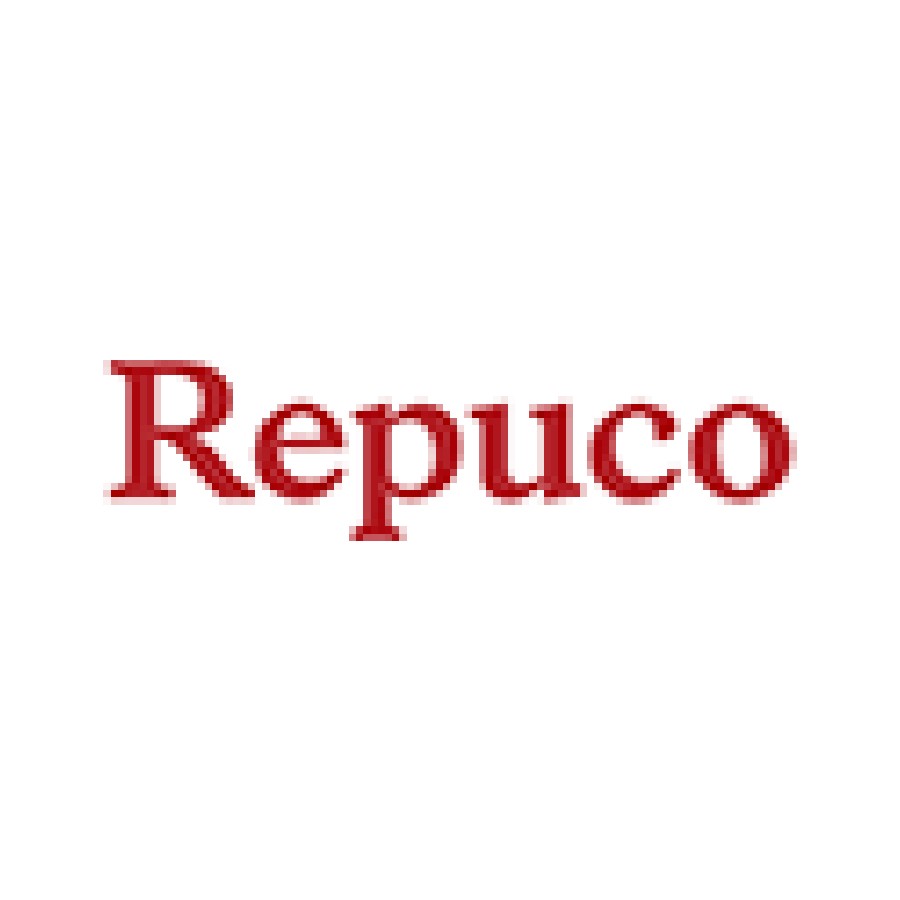 REPUCO Unternehmensberatung GmbH Logo